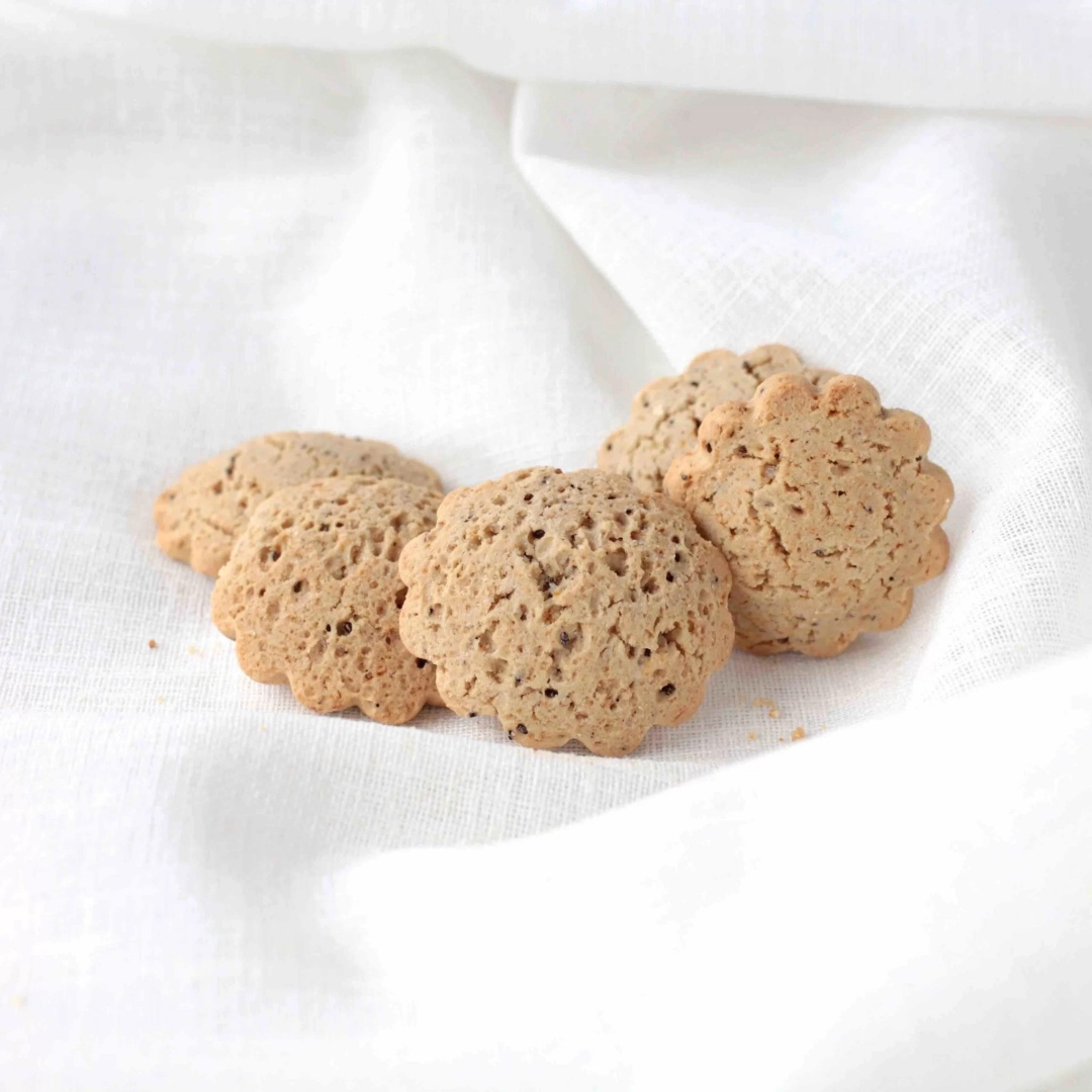 1753 BISCOTTI  CHIA/MIRTILLI VEGANI GR38 PZ30
