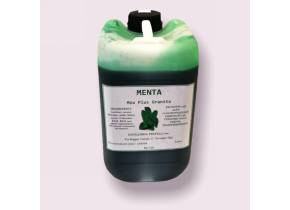 6054 SCIROPPO ALLA MENTA  KG.7