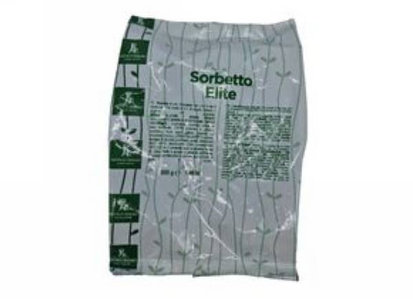 0772 SORBETTO MANDARINO GR.1000 AE