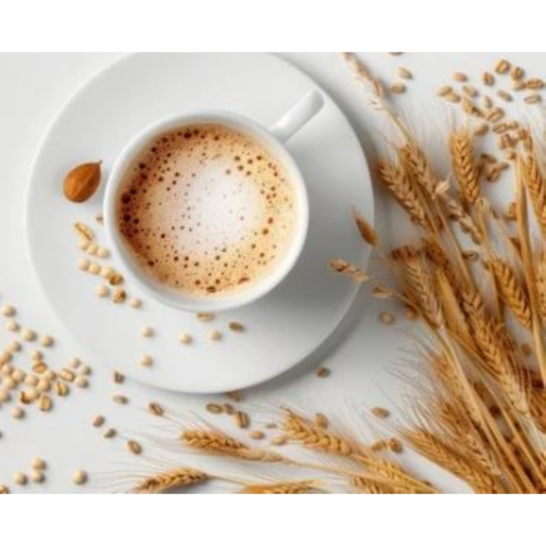 1408 ORZO SOLUBILE GR.500X10 BS