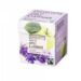 TEA FAV. APPLE/LAVENDER  BRADLEY'S 240 F