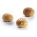 MINI MIX SOFFICI GR17 PZ240 COTTI (LR)